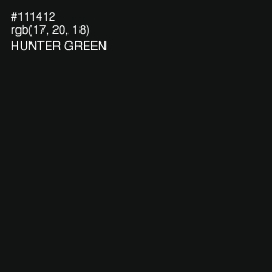 #111412 - Hunter Green Color Image